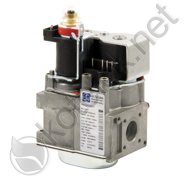 0020025299 Газовый клапан 843 Sigma — изображение 1
