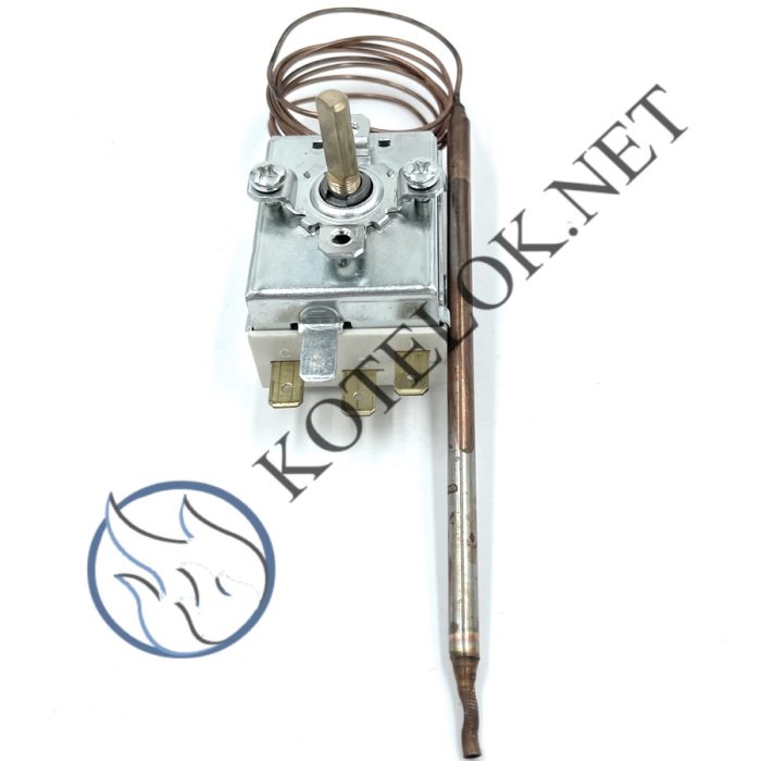 540140/B — Термостат регулируемый TR2 Тип 9224.  0…210ºС. — изображение 3